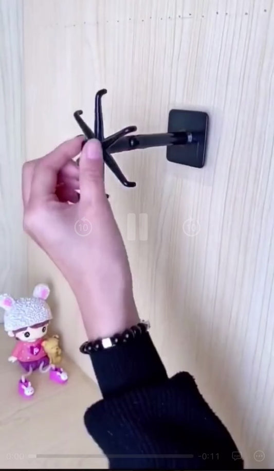 Rotating wall hook